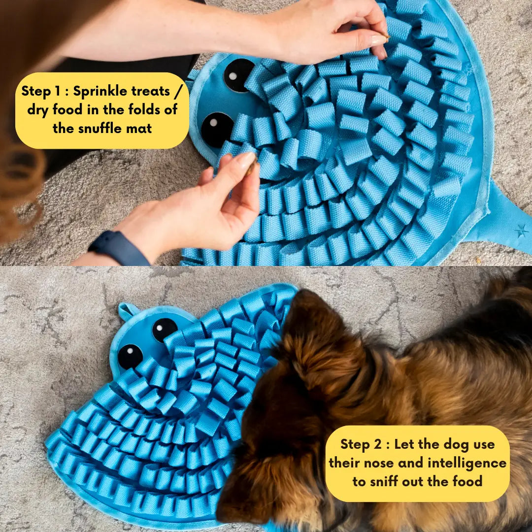 Sassy Stingray Snuffle Mat