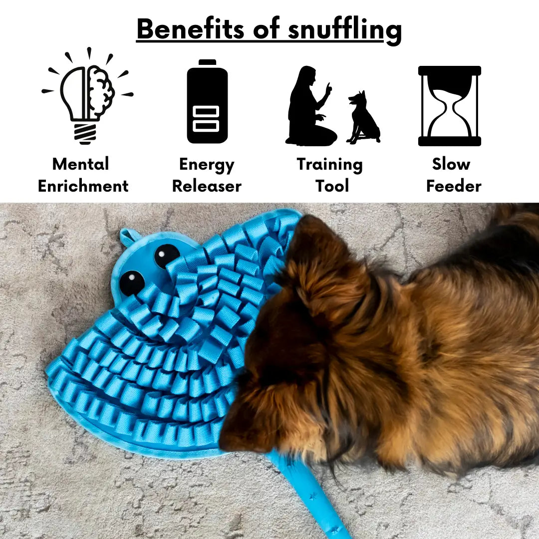 Sassy Stingray Snuffle Mat