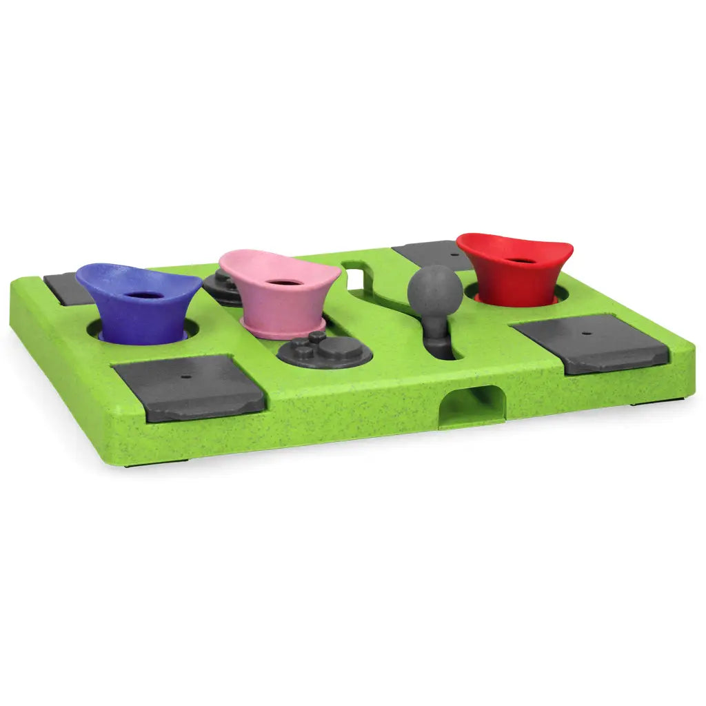 The Eat Slow Live Longer Puzzle