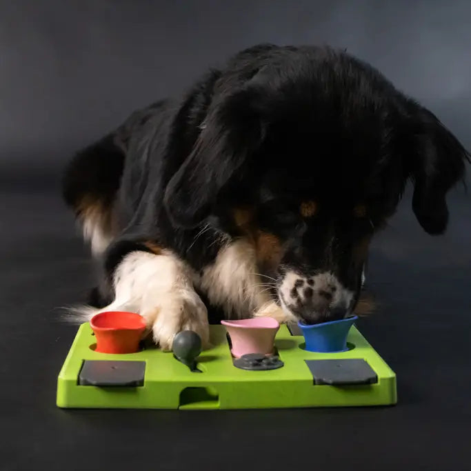The Eat Slow Live Longer Puzzle