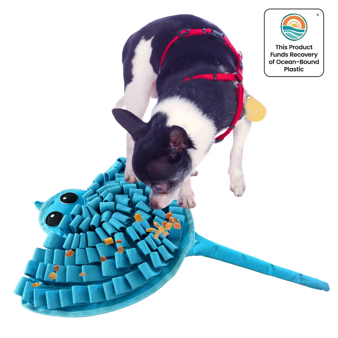 Sassy Stingray Snuffle Mat